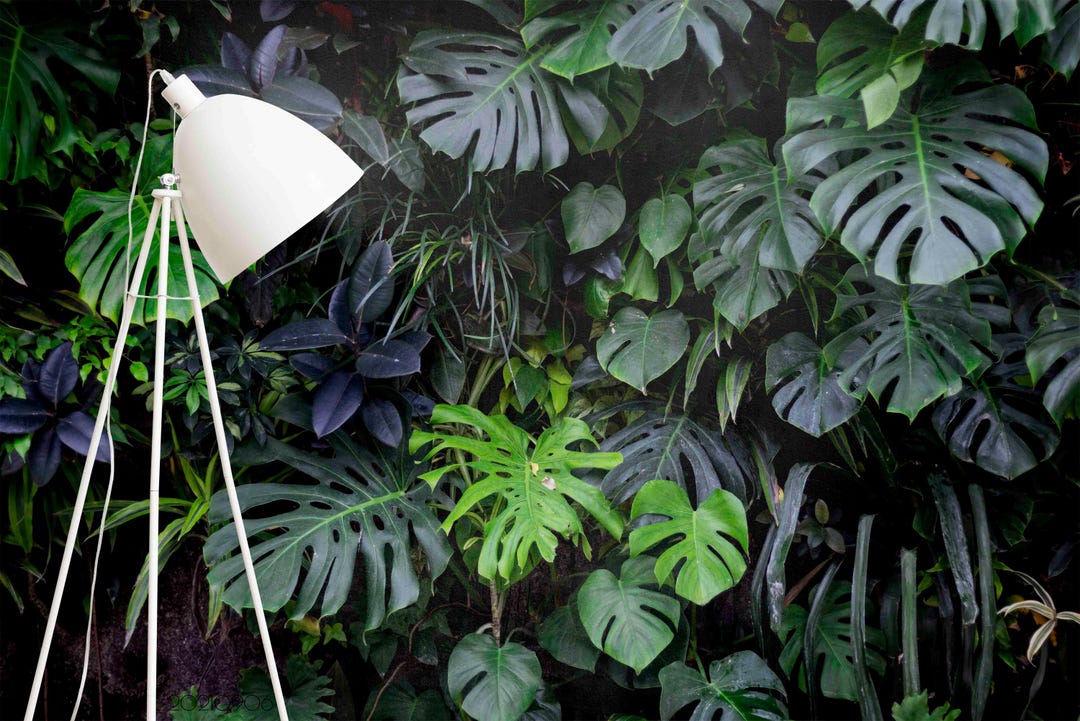 Tropical Green Leaves Wall Mural – Peel and Stick Wallpaper - Etsy