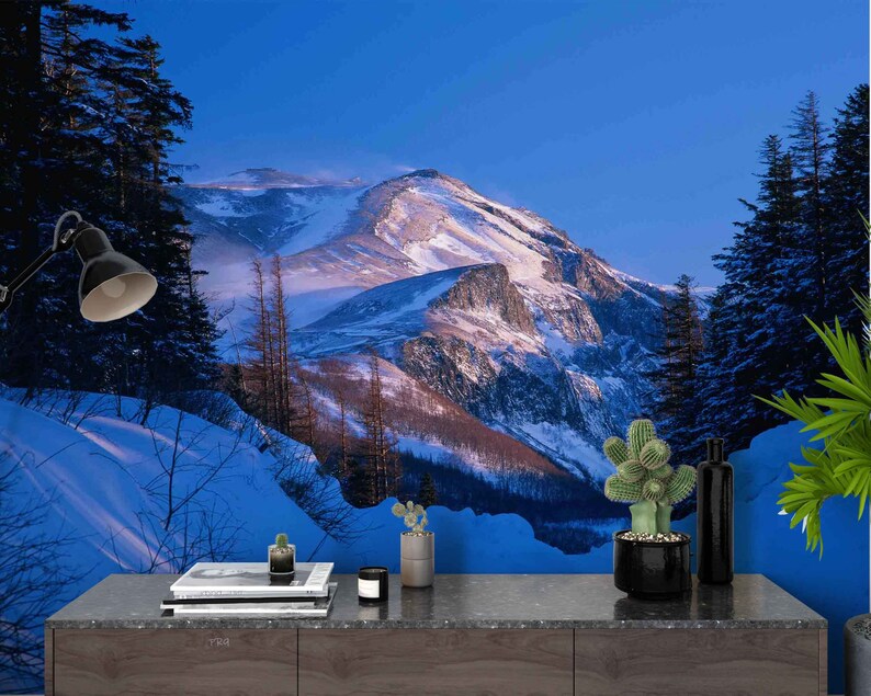 Snow Mountain Forest Scenery Wallpaper, 3D Peel and Stick Wall Mural - Etsy