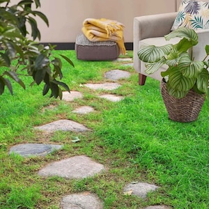 Puede incluir: Un camino de piedra serpentea a través de un césped verde exuberante, con piedras de diferentes tamaños. Una planta en maceta con grandes hojas verdes se encuentra a la derecha del camino, y una manta se coloca en un pequeño taburete a la izquierda.