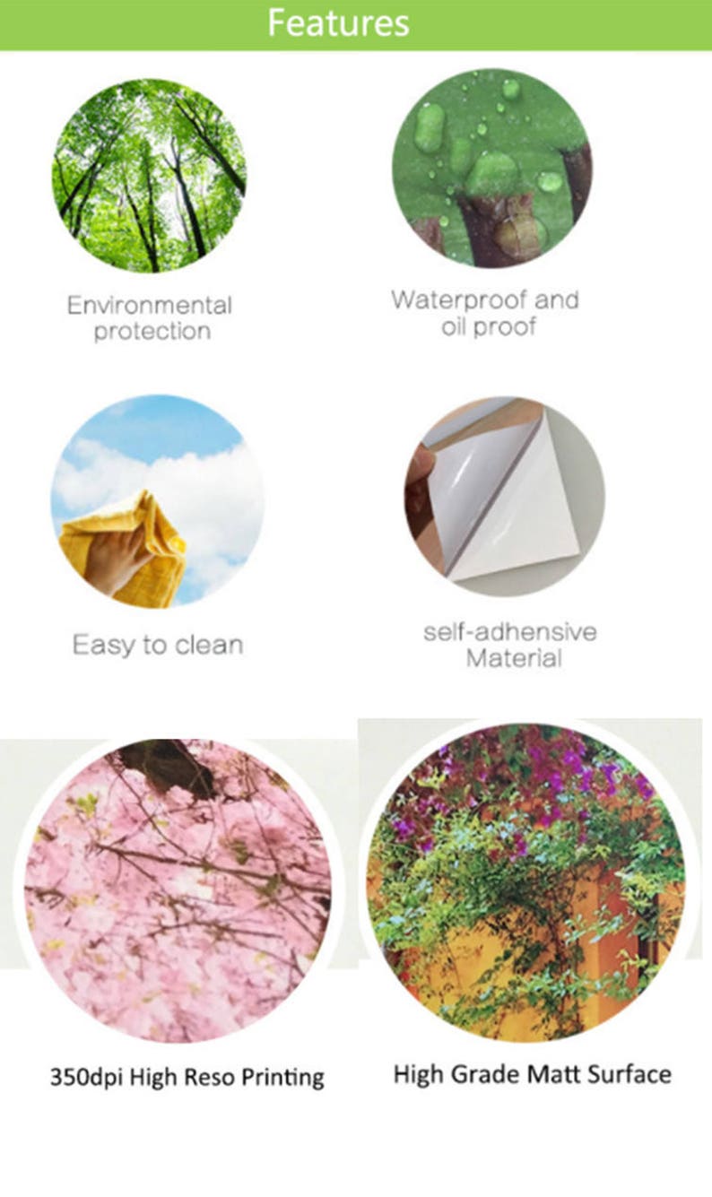 3D Seabed   Dolphin  Stair Sticker Stair Risers PVC Sticker image 4