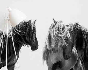 3D Black & White Horses Wallpaper Mural – Peel and Stick