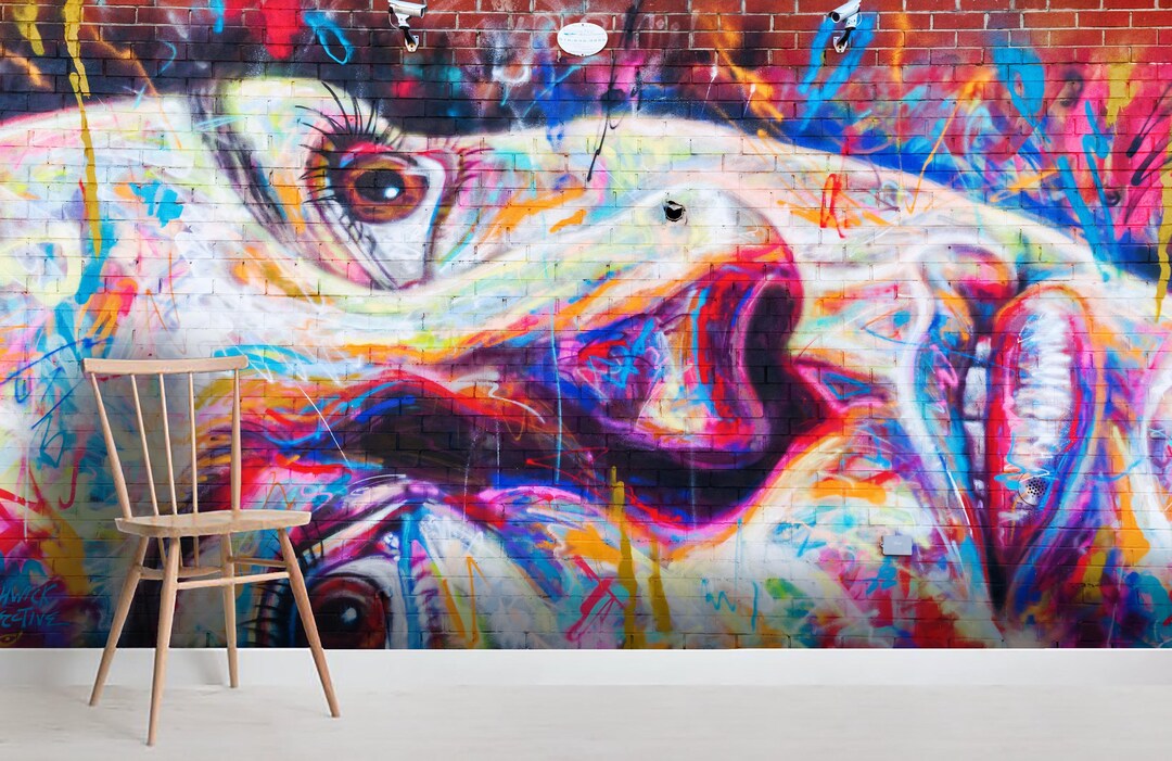 3D Graffiti Woman Face Wallpaper Mural, Removable Peel and Stick - Etsy