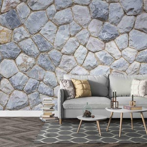 Peut inclure: Salon avec canapé gris, coussins et petites tables blanches. Le fond est un mur en pierre, créant une atmosphère rustique. Un tapis à motifs, des livres et des bougies complètent le décor. Ambiance chaleureuse.