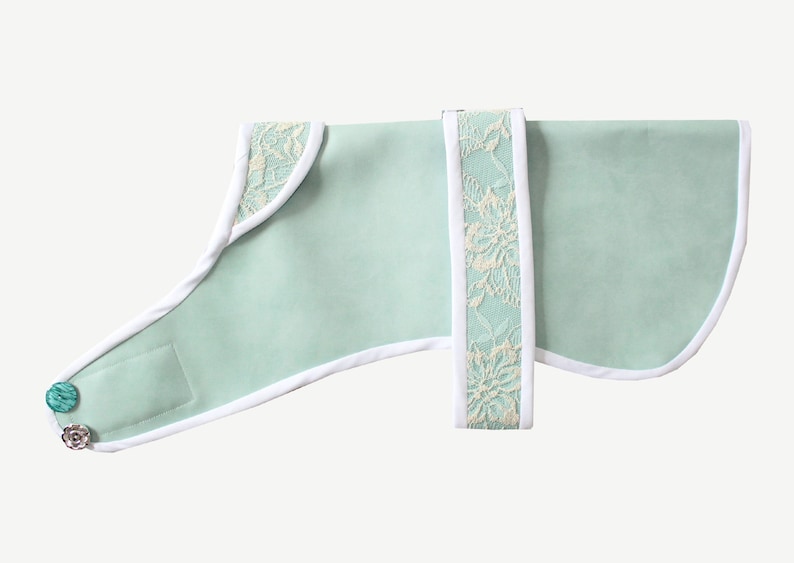 Duck Egg Leather Dog Coat