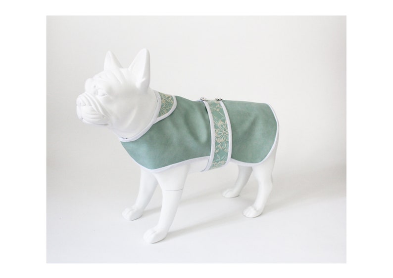 Duck Egg Leather Dog Coat