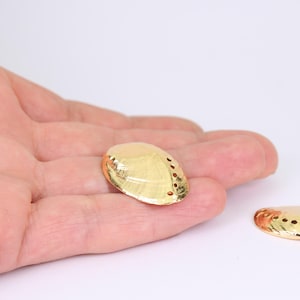 1/2/4 x Abalone Shell Charms, Gold Plated Brass, 28mm x 20mm with Small Holes, by Jewellery Making Supplies London ( JMSLondonCo )