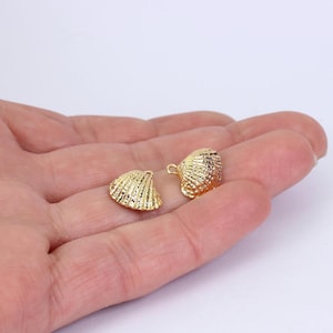 2/4/8 x Small Sea Shell Charms, Gold Plated Brass, 14mm x 13mm, by Jewellery Making Supplies London ( JMSLondonCo )