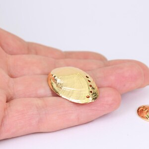 1/2/4 x Abalone Shell Charms, Gold Plated Brass, 28mm x 20mm with Small Holes, by Jewellery Making Supplies London ( JMSLondonCo )