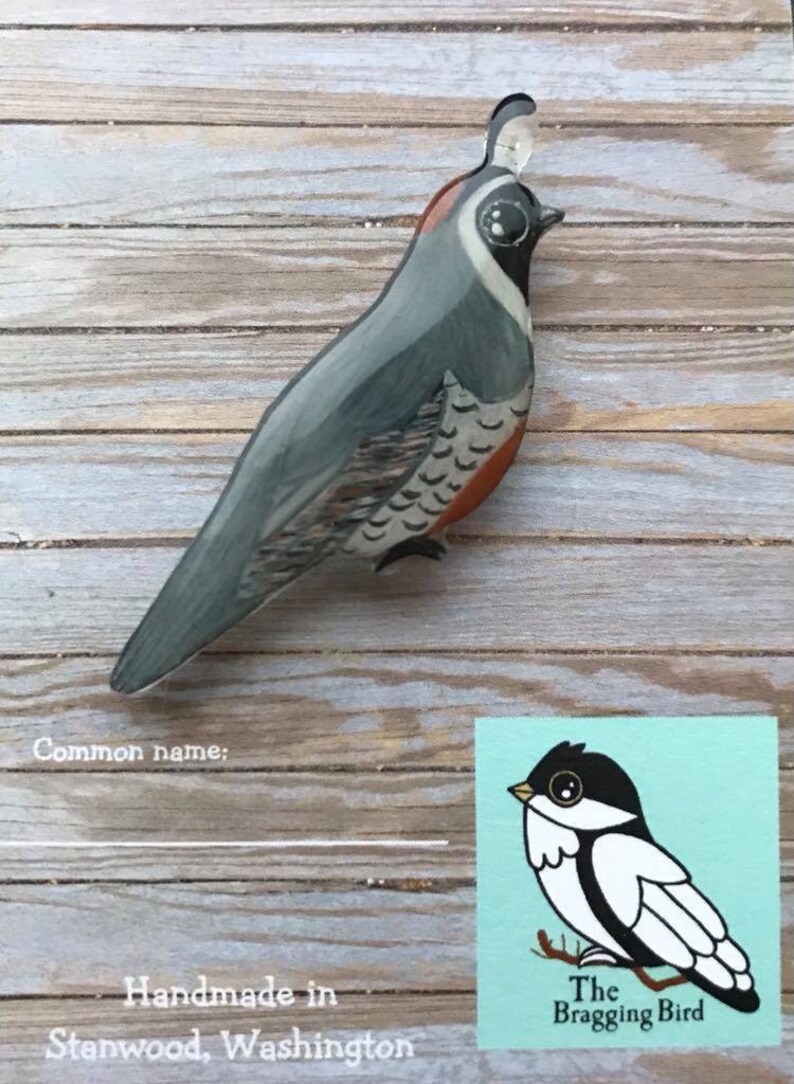 California Quail Lapel Pin (or Magnet) - Etsy