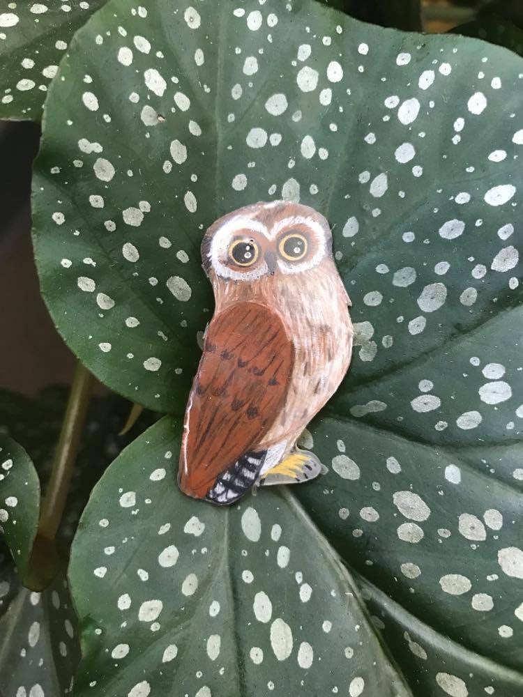 Short-eared Owl Lapel Pin or Magnet