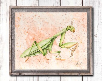 Dragonfly Art, Watercolor Dragon Fly, Insect Prints