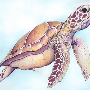 May include: Watercolor painting of a sea turtle swimming in a light blue background. The turtle has a brown and purple shell with a cream-colored underside. The turtle's head and flippers are detailed with a similar color palette.