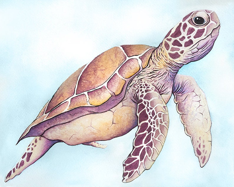 May include: Watercolor painting of a sea turtle swimming in a light blue background. The turtle has a brown and purple shell with a cream-colored underside. The turtle's head and flippers are detailed with a similar color palette.