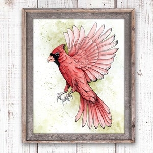 Cardinal Art, Watercolor Bird Print, Red Bird Painting