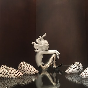 Set of 4 Natural seashells guest card holder/ picture holder /place card holders with sterling silver trim decoration/ Nautical Decor