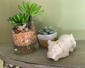 Può includere: Una statuetta di cane in ceramica bianca sdraiata su uno scaffale di legno con due piccole piante grasse in vaso. Una pianta grassa è in un vaso di vetro trasparente con piccoli sassi e l'altra è in un vaso di ceramica bianca con un bordo marrone.