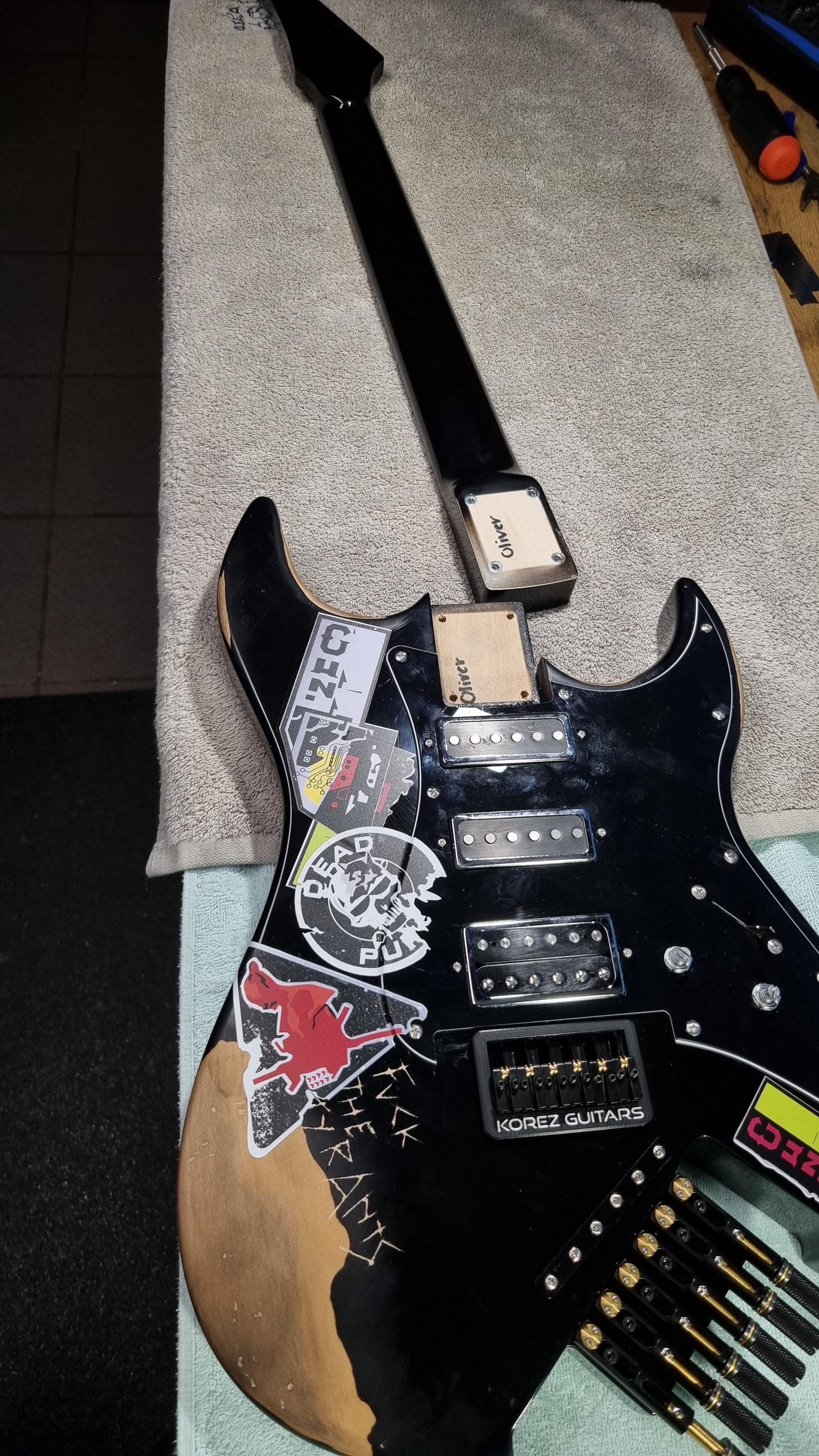 Custom Deluze Orphean Guitar Build - Complete Build - Etsy