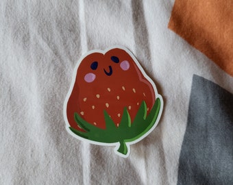 Fruit Cuties - Aardbei Froggy Sticker