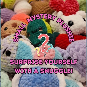Small Mystery Crochet Plushie