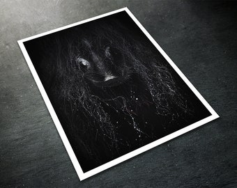 Pferde fotografie Fine Art Print - "Ein Kuss des Frosts"