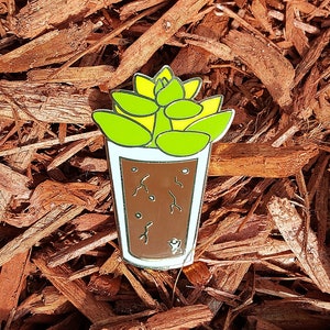 Summer Glass Succulent Pin Seasonal Succulents in Cups Enamel Pin Succs in Cups Plant Pin image 1