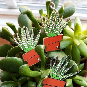 Zebra Plant Haworthia Succulent Enamel Pin Silver Plating