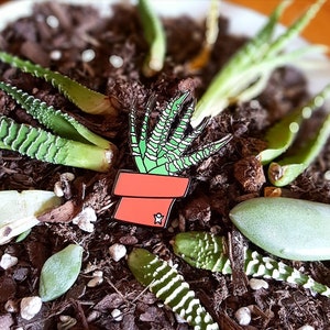 Zebra Plant Haworthia Succulent Enamel Pin Black Nickel Plating