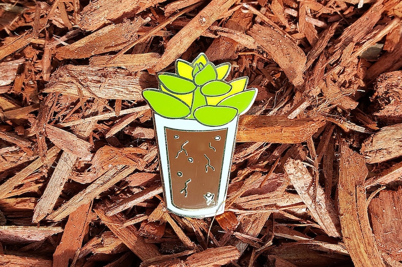 Summer Glass Succulent Pin Seasonal Succulents in Cups Enamel Pin Succs in Cups Plant Pin image 1