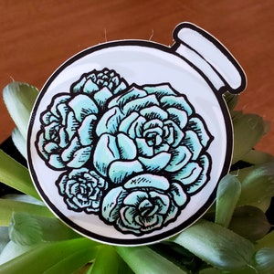 Bottled Succulent Sticker Hen and Chicks Plant Potion image 1