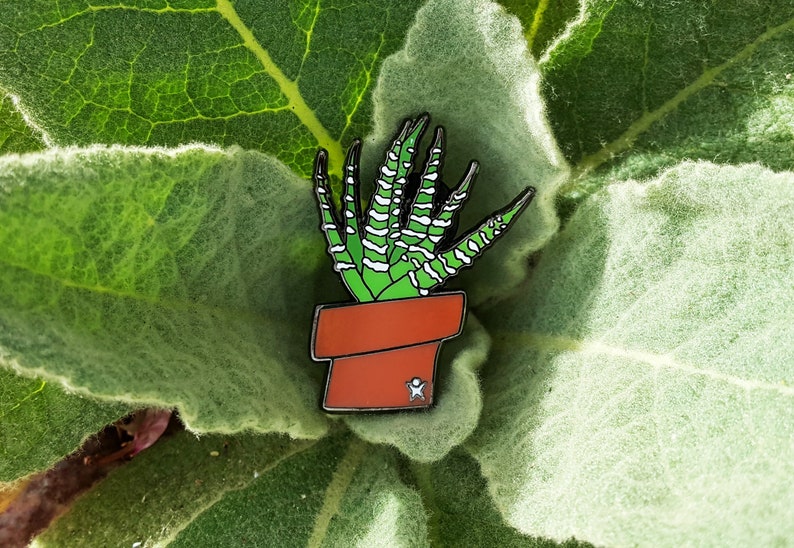 Zebra Plant Haworthia Succulent Enamel Pin image 5