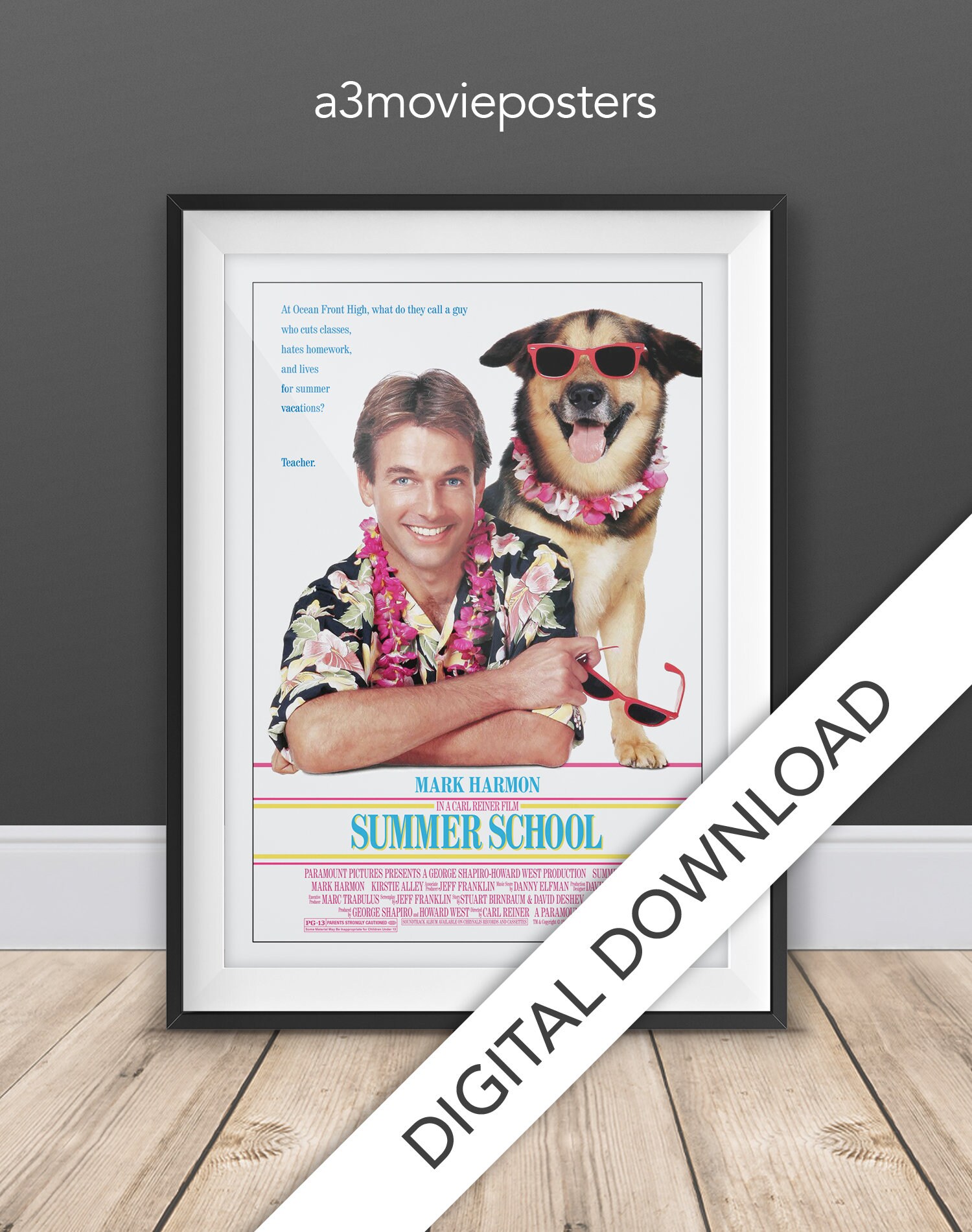 Escuela de Verano 1987 Summer School Movie Poster Replica Etsy