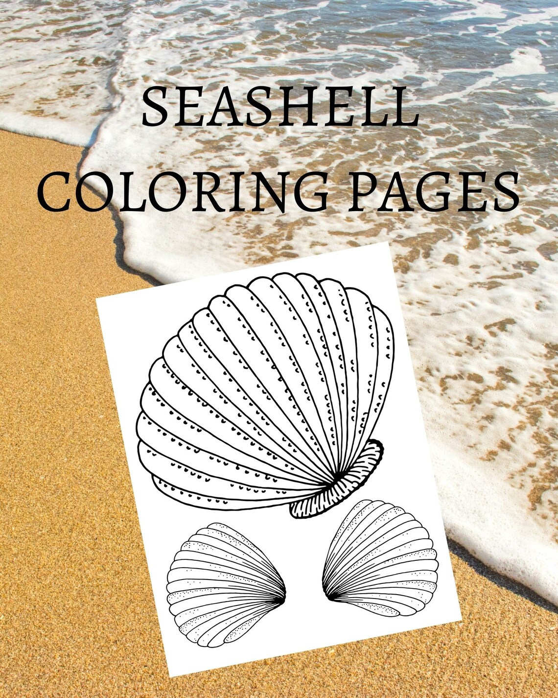 Seashell Coloring Pages 10 Printable Colouring Pages - Etsy