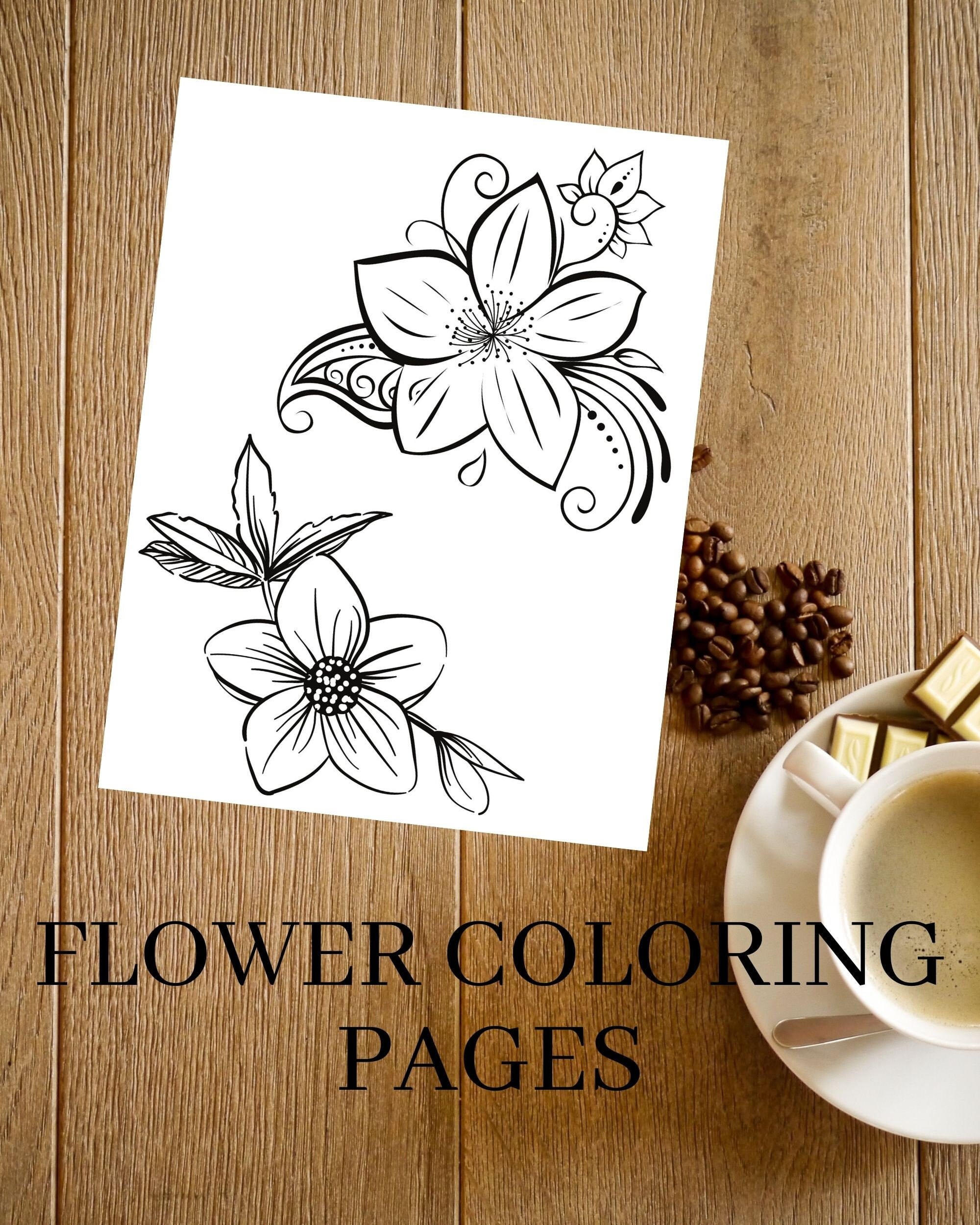 Flower Coloring Pages for Adults Printable, Adult Coloring Pages, Floral SIMPLE  Coloring Book for Adults, Digital Coloring at Home Activity 