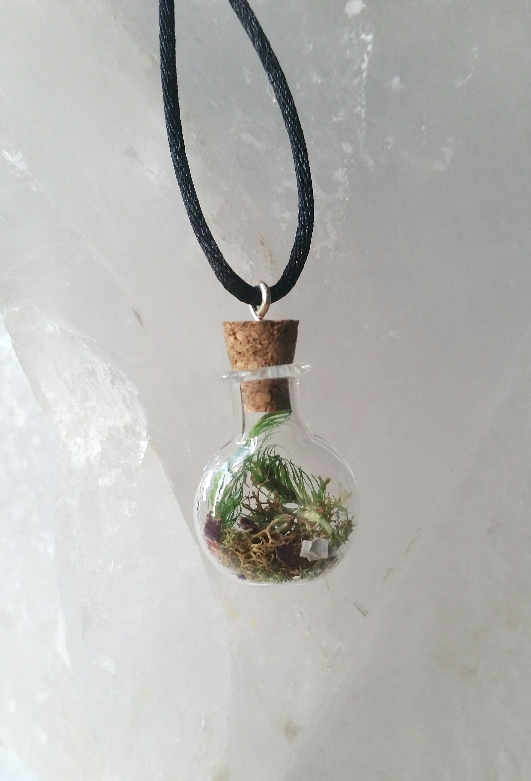 Terrarium Pendant Terrarium Necklace Jewelry Bottle Mini Etsy