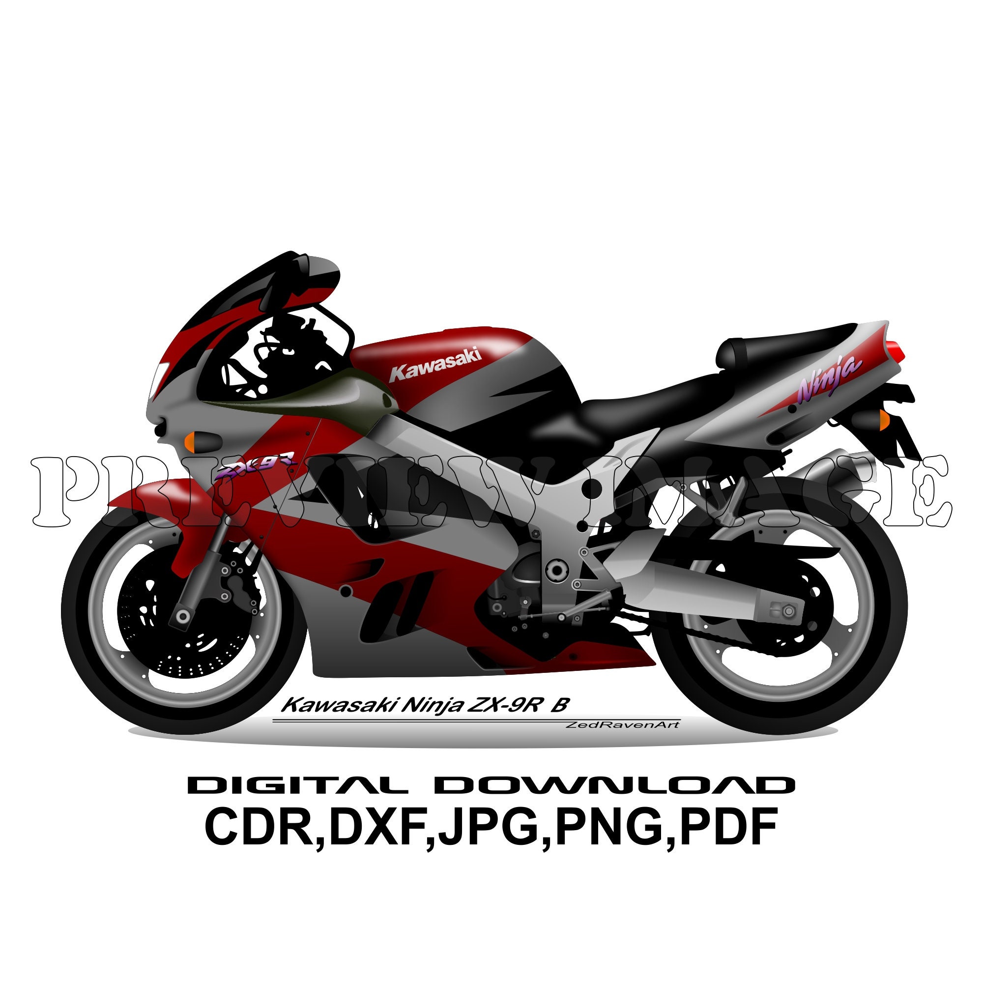 Kawasaki Ninja ZX 9R B - Motorcycle Motorbike Vector Graphic