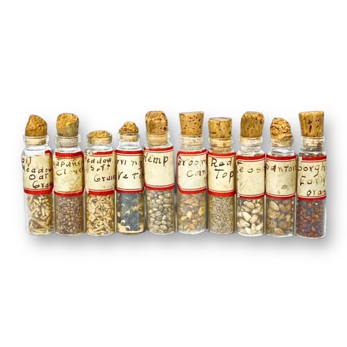 Vintage c. 1940’s (10) Horticulture Field Specimen Tubes With Cork