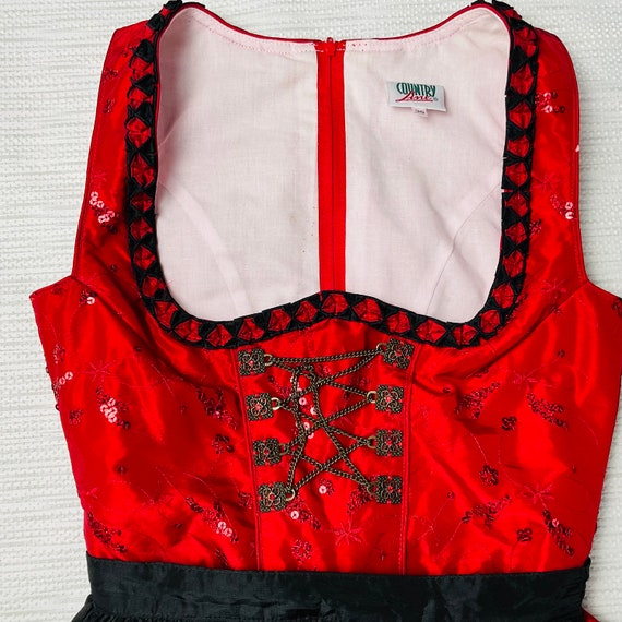 Vintage Embroidered Dirndl Dress and Apron Austri… - image 1