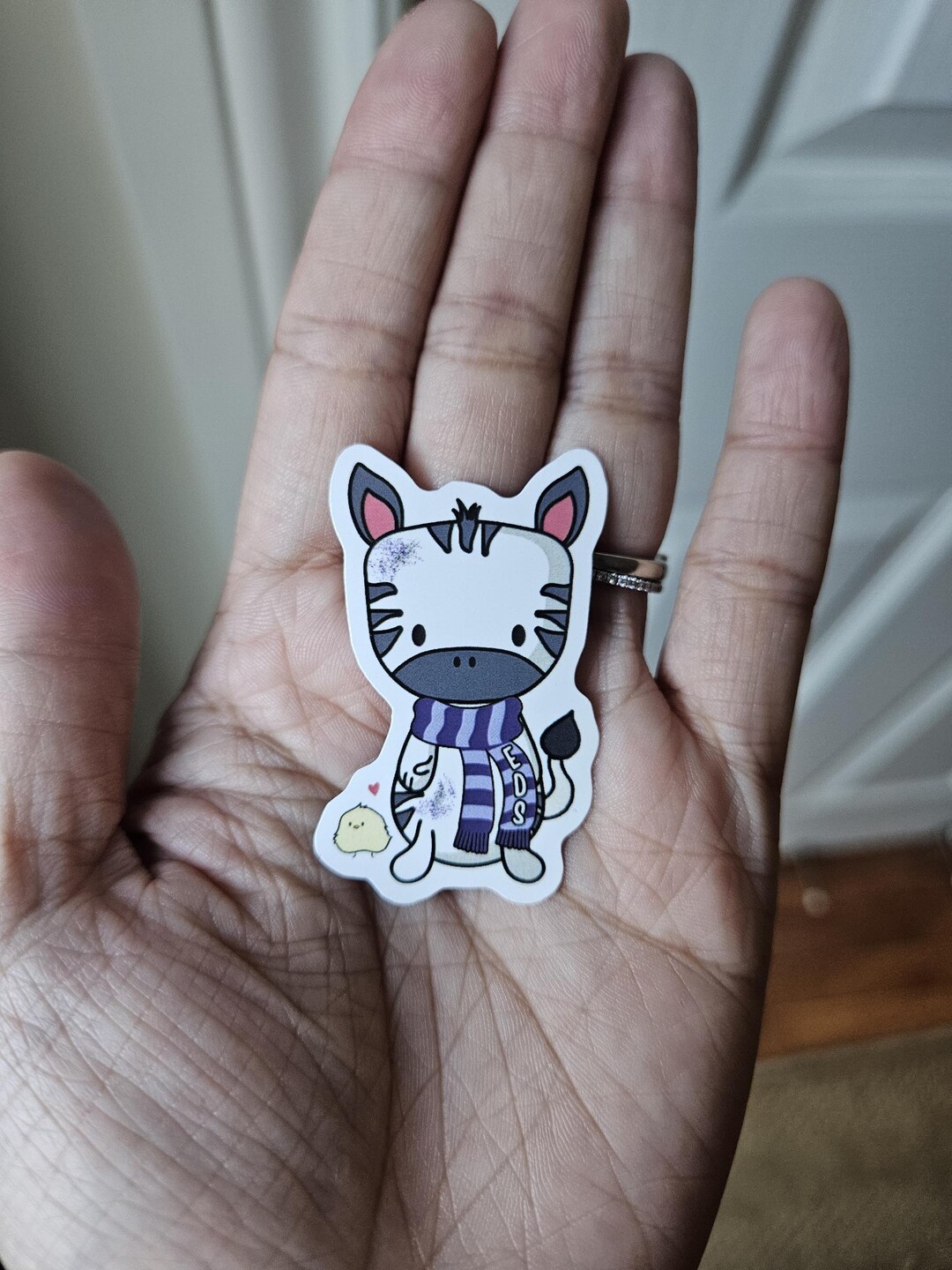 EDS Zebra (ehlers Danlos Syndrome, Disorder, Bruise, Genetic Rare ...