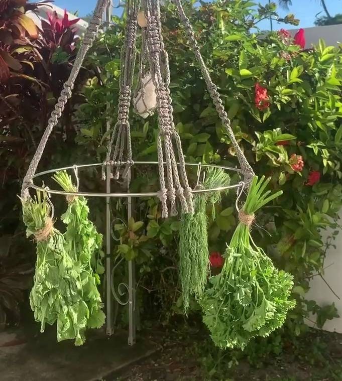 Seed and Herb Drying Rack