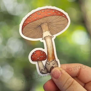 20 pegatinas ilustradas de hongos, pegatinas para botellas, pegatinas para portátiles, pegatinas para scrapbooking, pegatinas para diarios, pegatinas troqueladas, regalos para mujeres