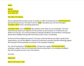 New Hire Probation Letter Template, New Hire Probation Letter, New Hire Probation Template, Word Template, Simple Letter, Word Letter
