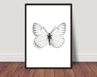 Butterfly Wall Art, Butterfly Print, Butterfly Art Print, Butterfly Art, Butterfly Printable, Butterfly Art for Bedroom, Home Office Decor
