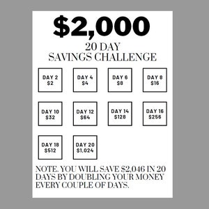 20 Day Savings Challenge, Save 2000 in 20 Days, Savings Planner, Savings Tracker, Money Saving Challenge Printable, Printable Tracker