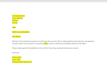 Past Due Debt Collection Letter Template, Debt Collection Letter, Debt Collection Template, Word Template, Simple Letter, Word Letter