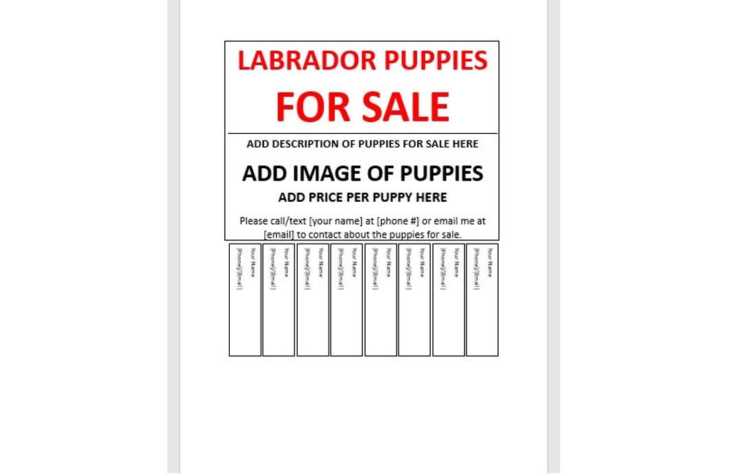 Editable Labrador Retriever Puppies for Sale Tear-off Flyer, Tear-off ...