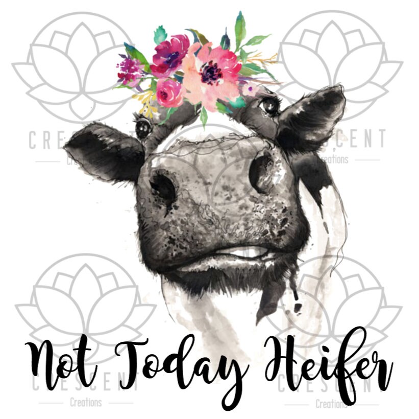 Not Today Heifer PNG Clipart