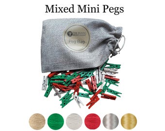 100 mini pinzas surtidas, clips de colores para fotos y dibujos, bolsa de almacenamiento y cuerda.
