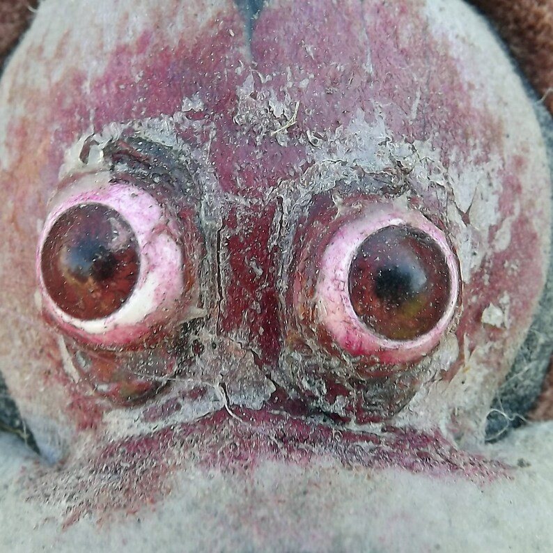 Fallout Dystopia Postapocalypse Mad Max LARP Wasteland Taz Tasmanian Devil Horror Bear Soft Toy