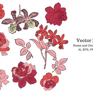 Vector Flowers