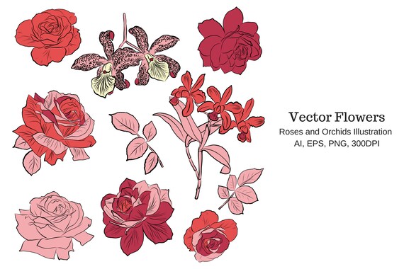 Vector Flowers Etsy